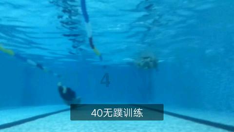 我的王朝