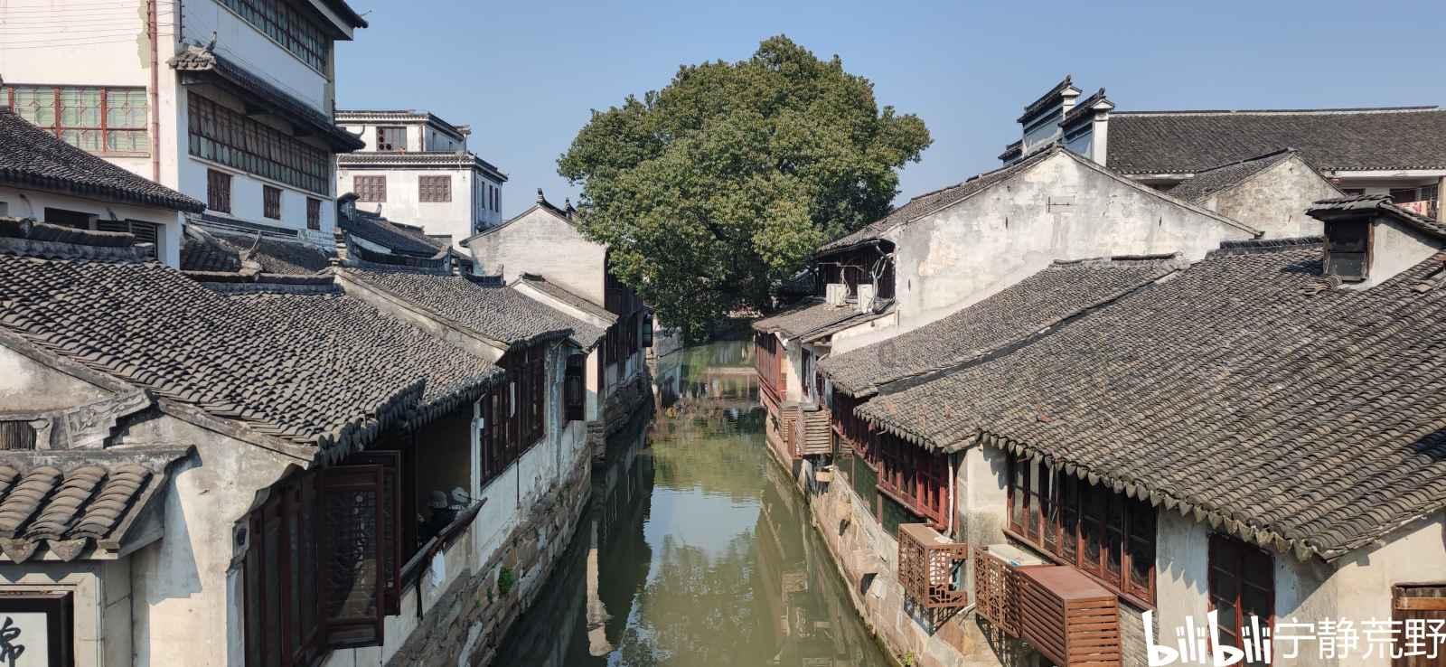 如何看待大学生手机综合征？游戏画面